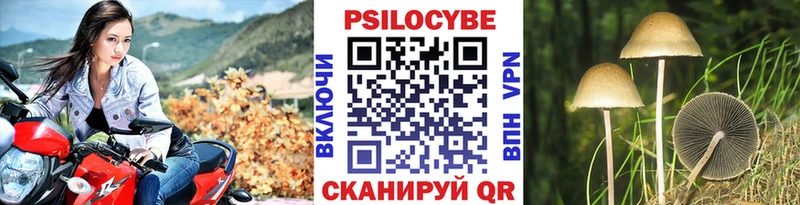 Галлюциногенные грибы мицелий  Арамиль 